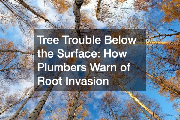 Tree Trouble Below the Surface How Plumbers Warn of Root Invasion