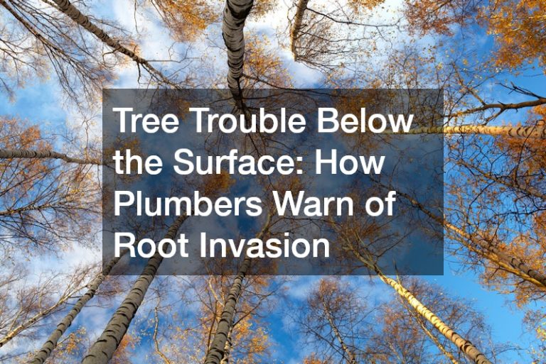 Tree Trouble Below the Surface  How Plumbers Warn of Root Invasion